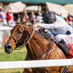 Tiffany, Possiblemente Punch Breeders' Cup Tickets with Kentucky Downs Turf Stakes Wins